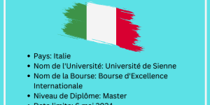 Bourse d'excellence internationale de l'Université de Sienne 2024-25