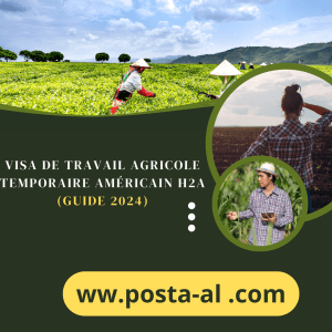 Visa de travail agricole temporaire américain H2A (Guide 2024)