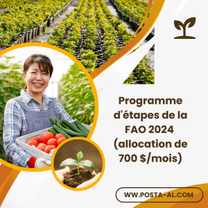Programme d'étapes de la FAO 2024 (allocation de 700 $/mois)