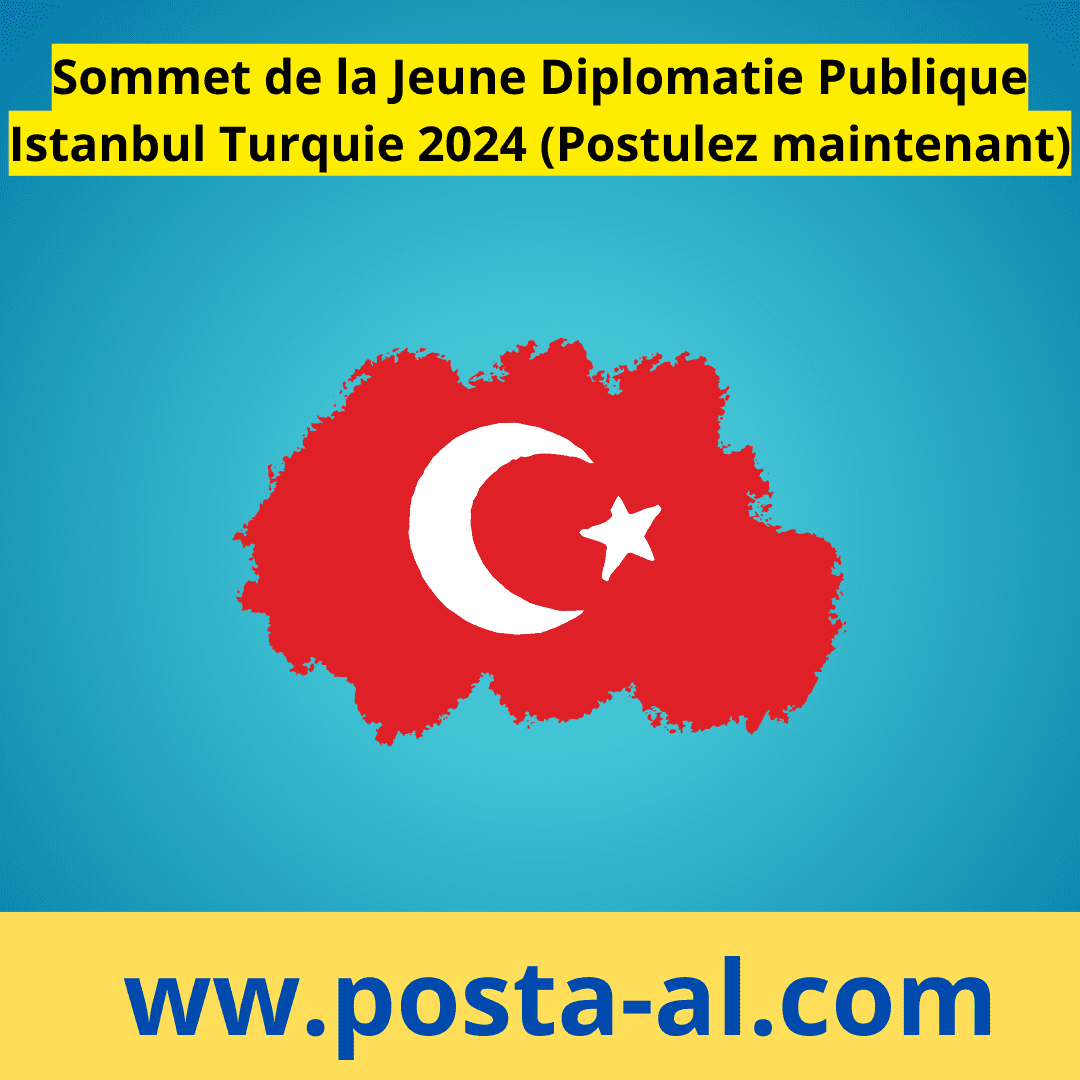 Sommet De La Jeune Diplomatie Publique Istanbul Turquie Postulez