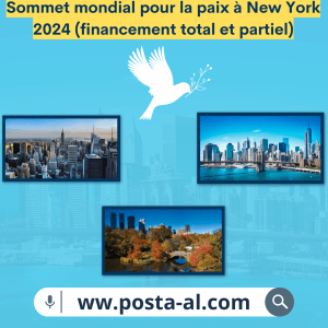 Sommet mondial pour la paix à New York 2024 (financement total et partiel)